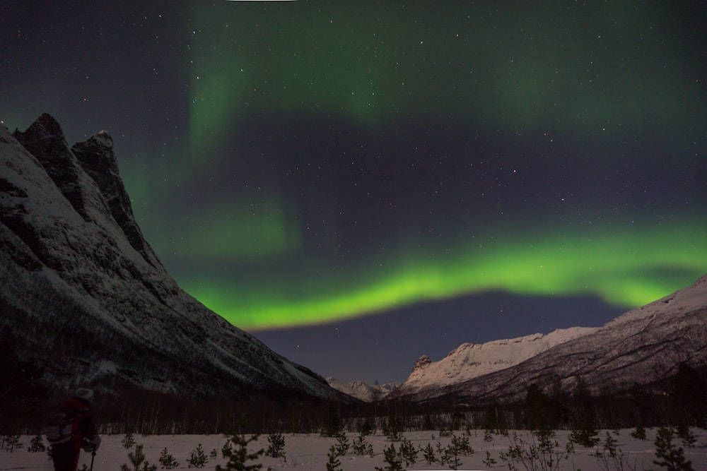 green aurora lights above snow-capped mountain