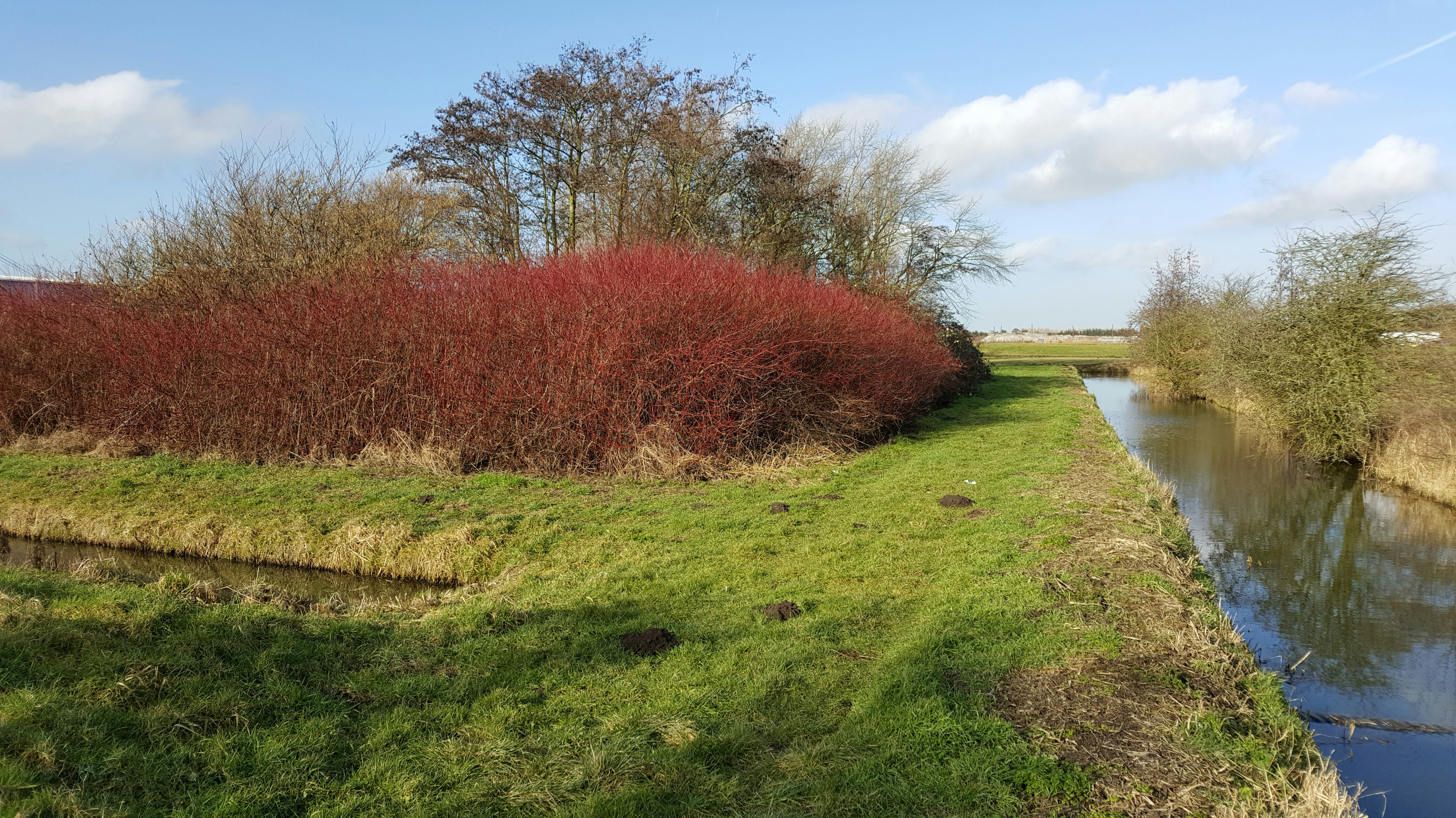 Free Unsplash photo from Toon van Opstal