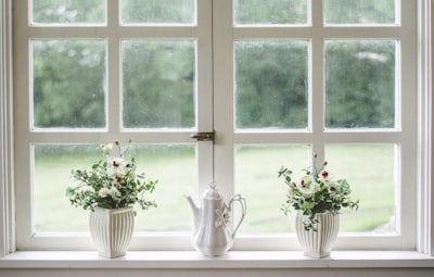 white teapot and tow flower vases on windowpane window zoom background