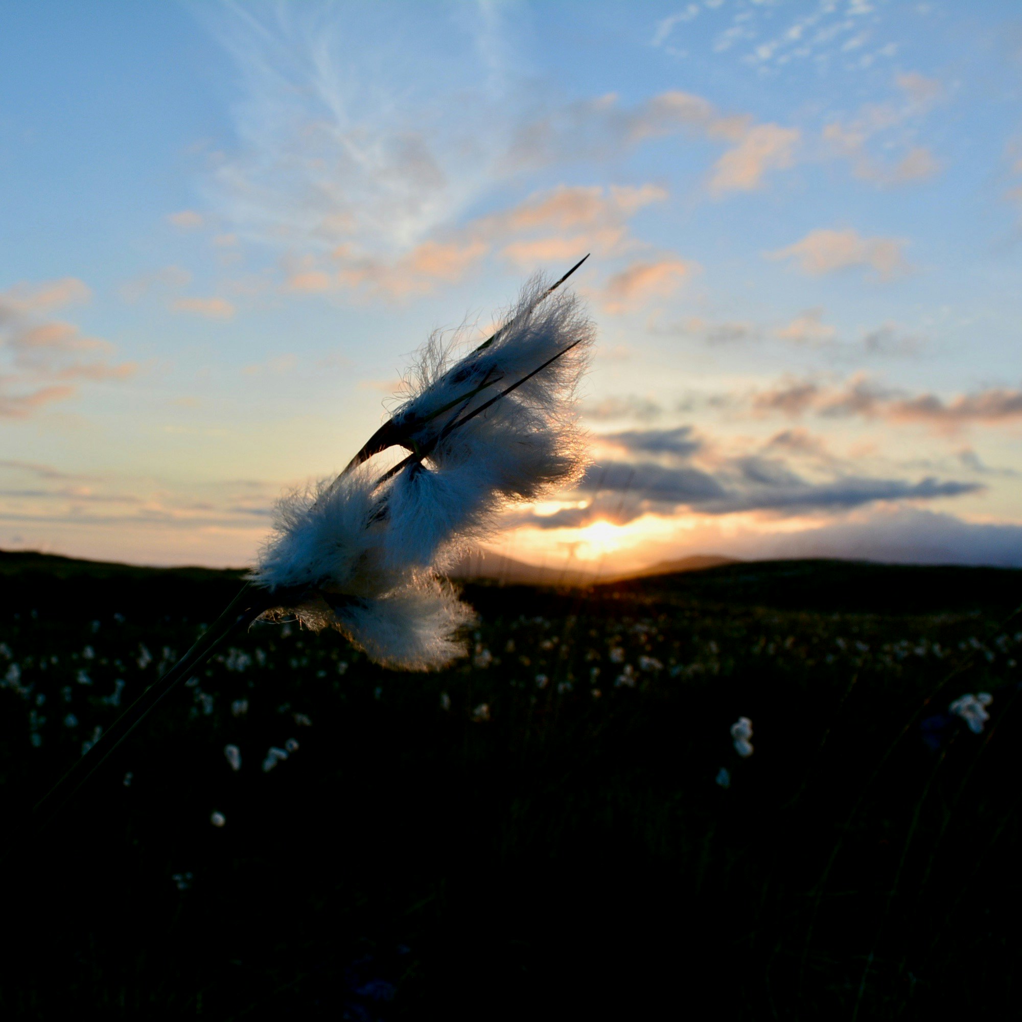 Free Unsplash photo from James McConville