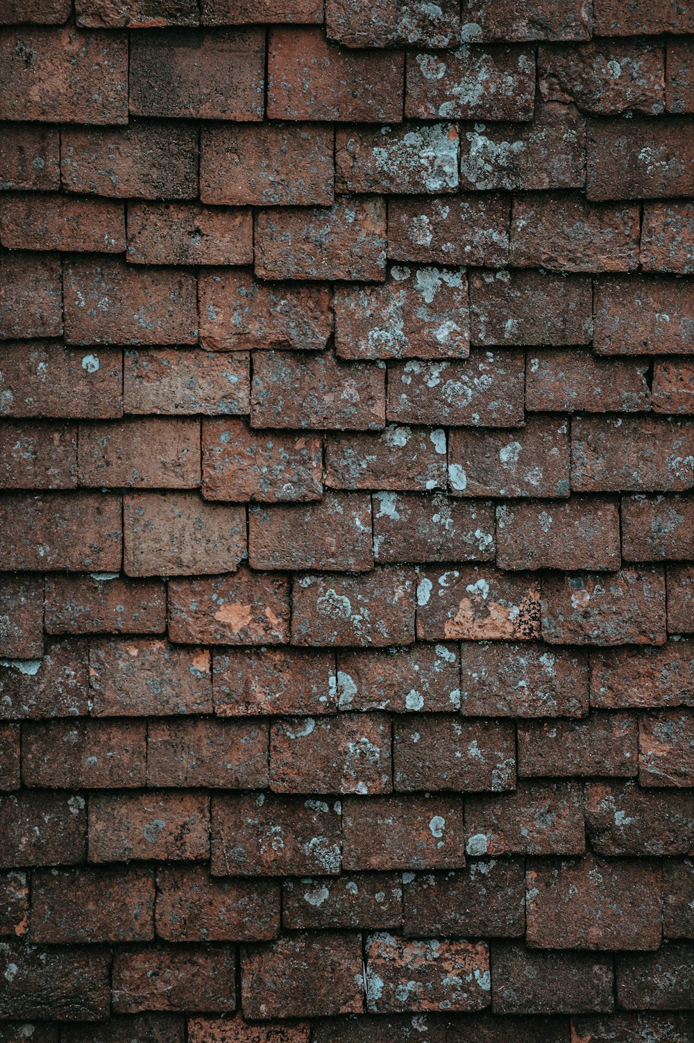 Fotografía de primer plano de ladrillos de hormigón marrones y grises