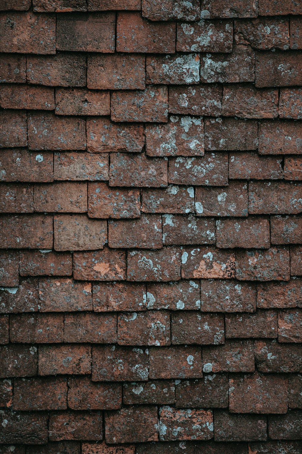 closeup photography of brown and gray concrete bricks