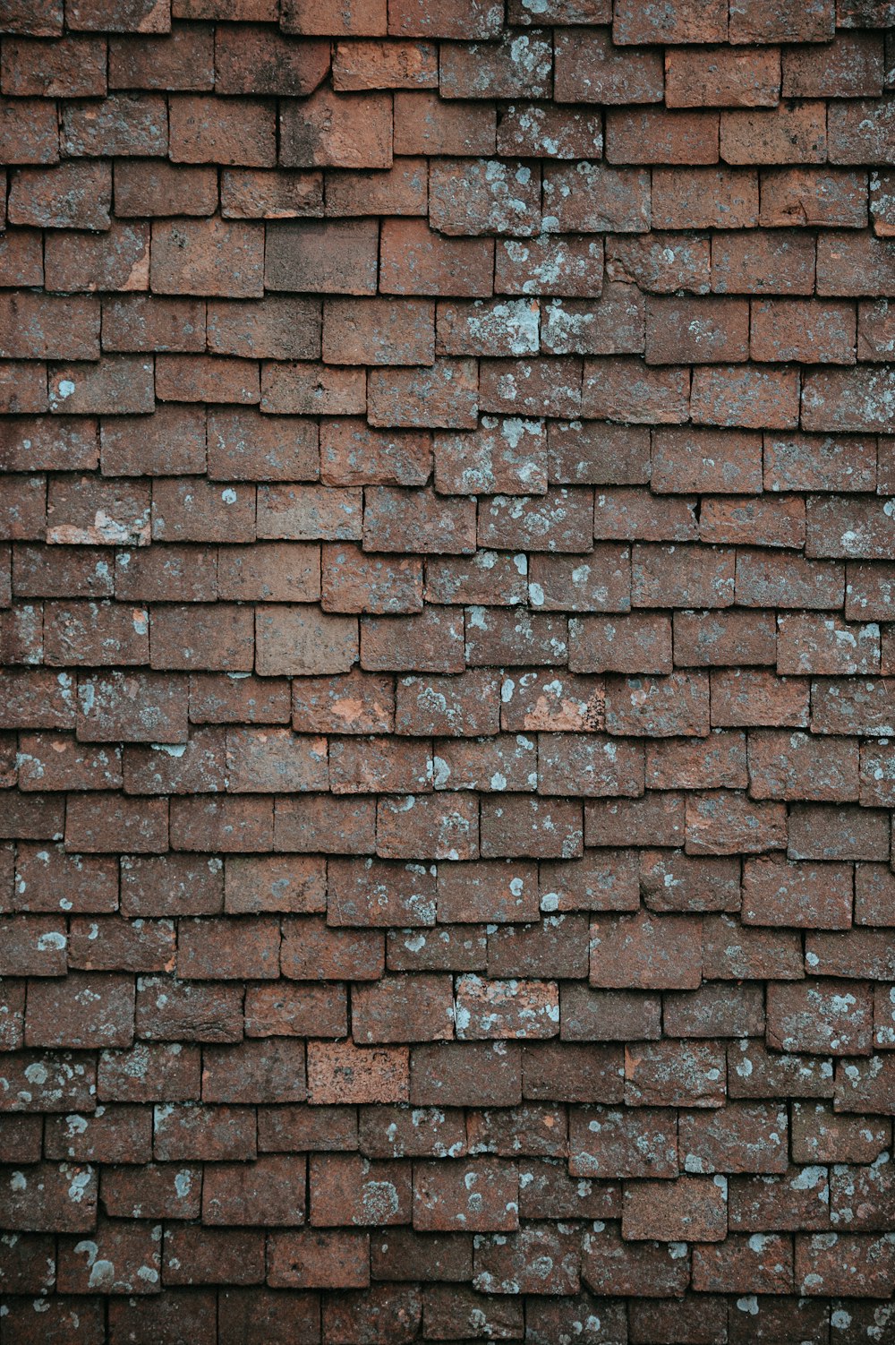 mur de briques brunes