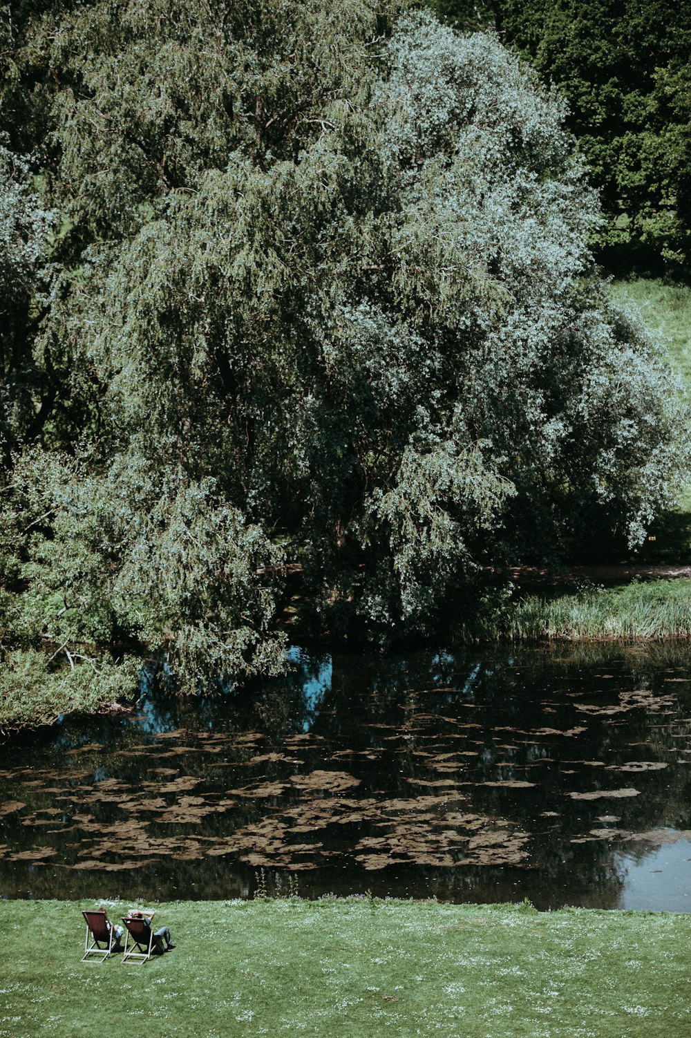 two people relaxing near the pond