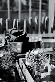 A monochrome image of a market stall display featuring small floral bouquets labeled as 'Spring Posies' with a price tag of £2.00. The flowers are arranged in a transparent glass bottle. Behind the display, there are additional containers, possibly with more plants or flowers, and a series of vertical wooden structures in the background.