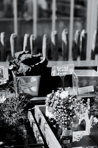 A monochrome image of a market stall display featuring small floral bouquets labeled as 'Spring Posies' with a price tag of £2.00. The flowers are arranged in a transparent glass bottle. Behind the display, there are additional containers, possibly with more plants or flowers, and a series of vertical wooden structures in the background.