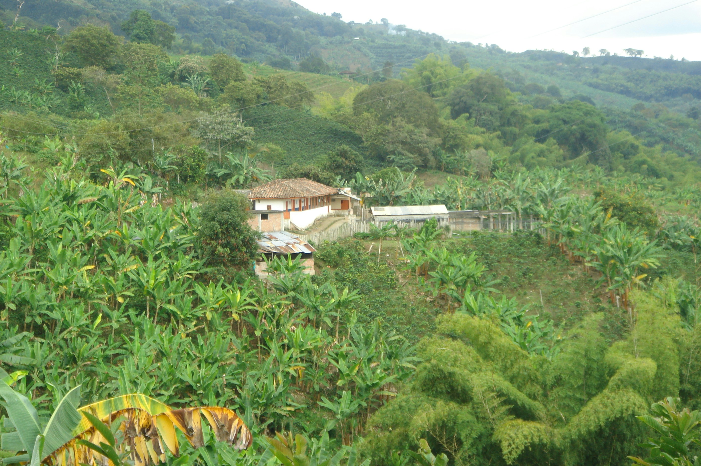 Free Unsplash photo from Asdrubal Romero