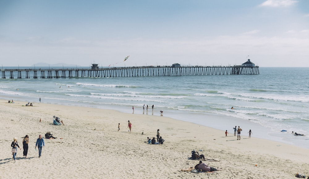 people at the beach swimming during daytime