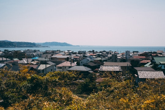 aerial photography of buildings in Kamakura Japan