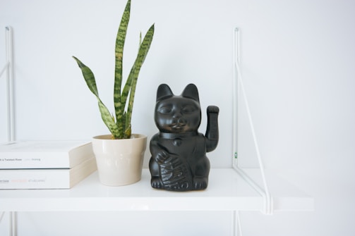 black manekineko cat near white potted green leaf plant