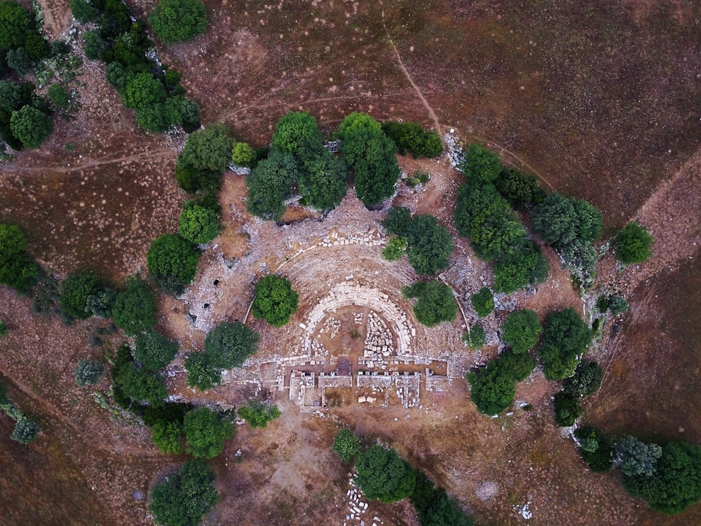 aerial shot photo of trees