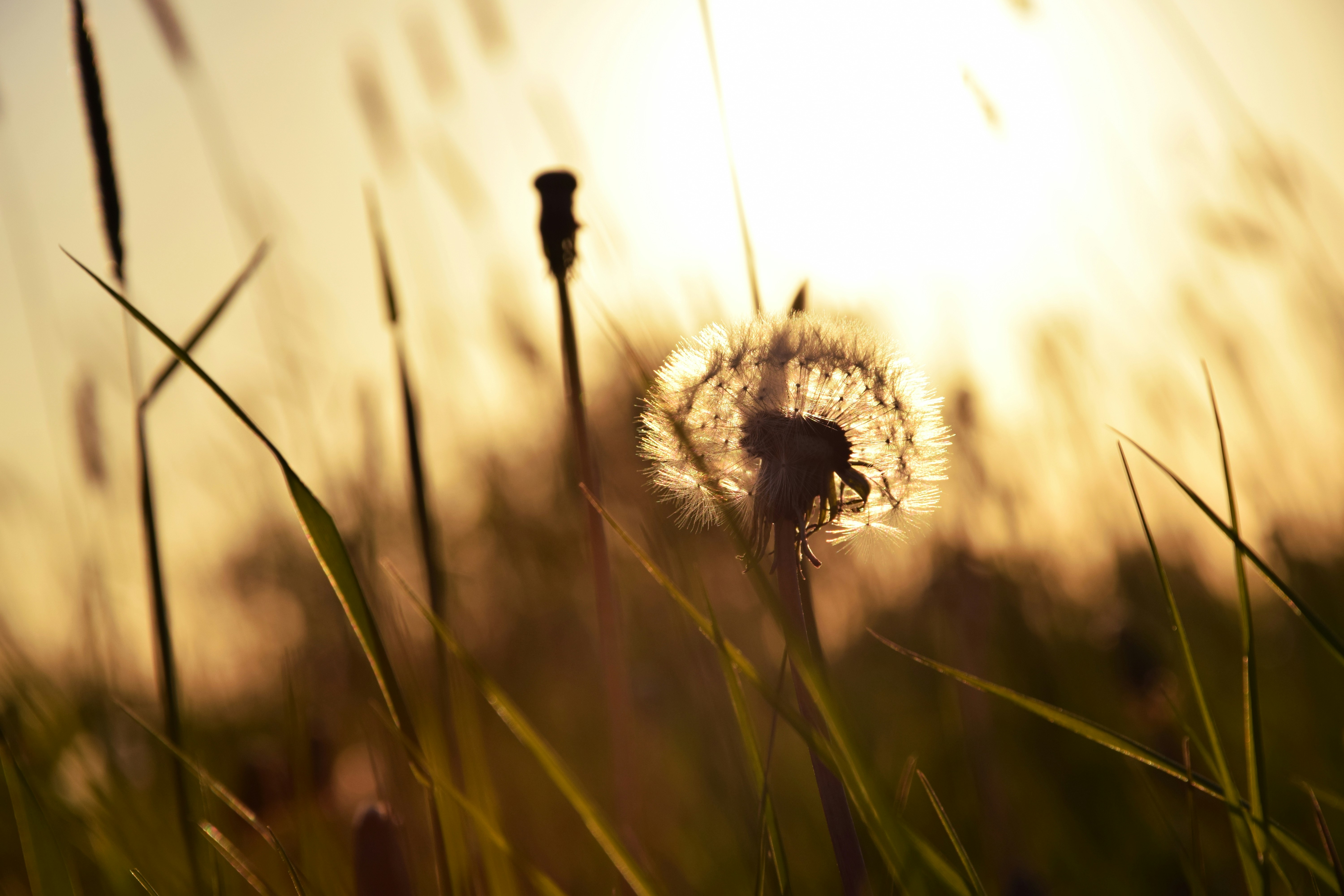 Free Unsplash photo from Peter Beukema