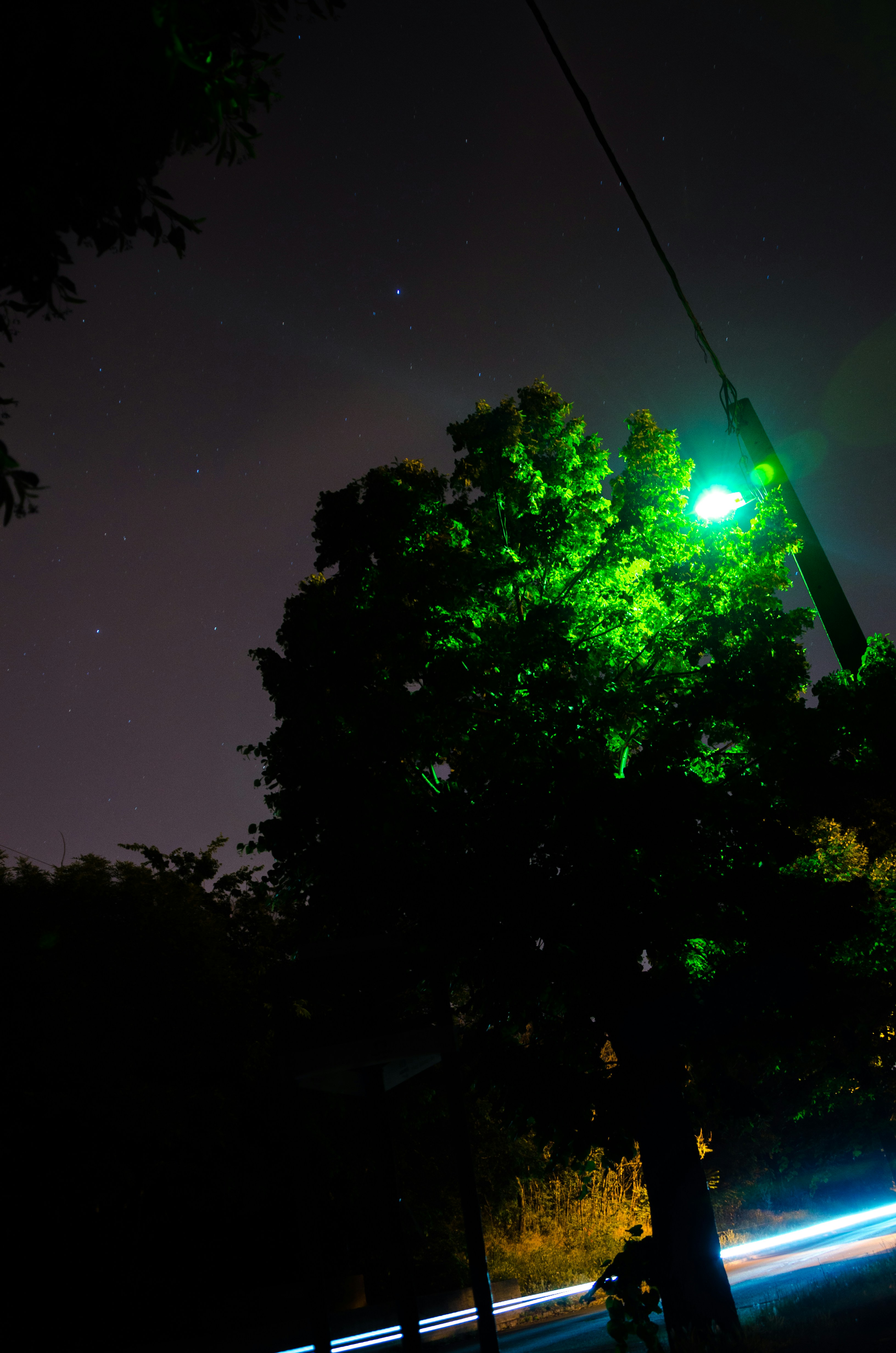 Free Unsplash photo from Balazs Totfalusi