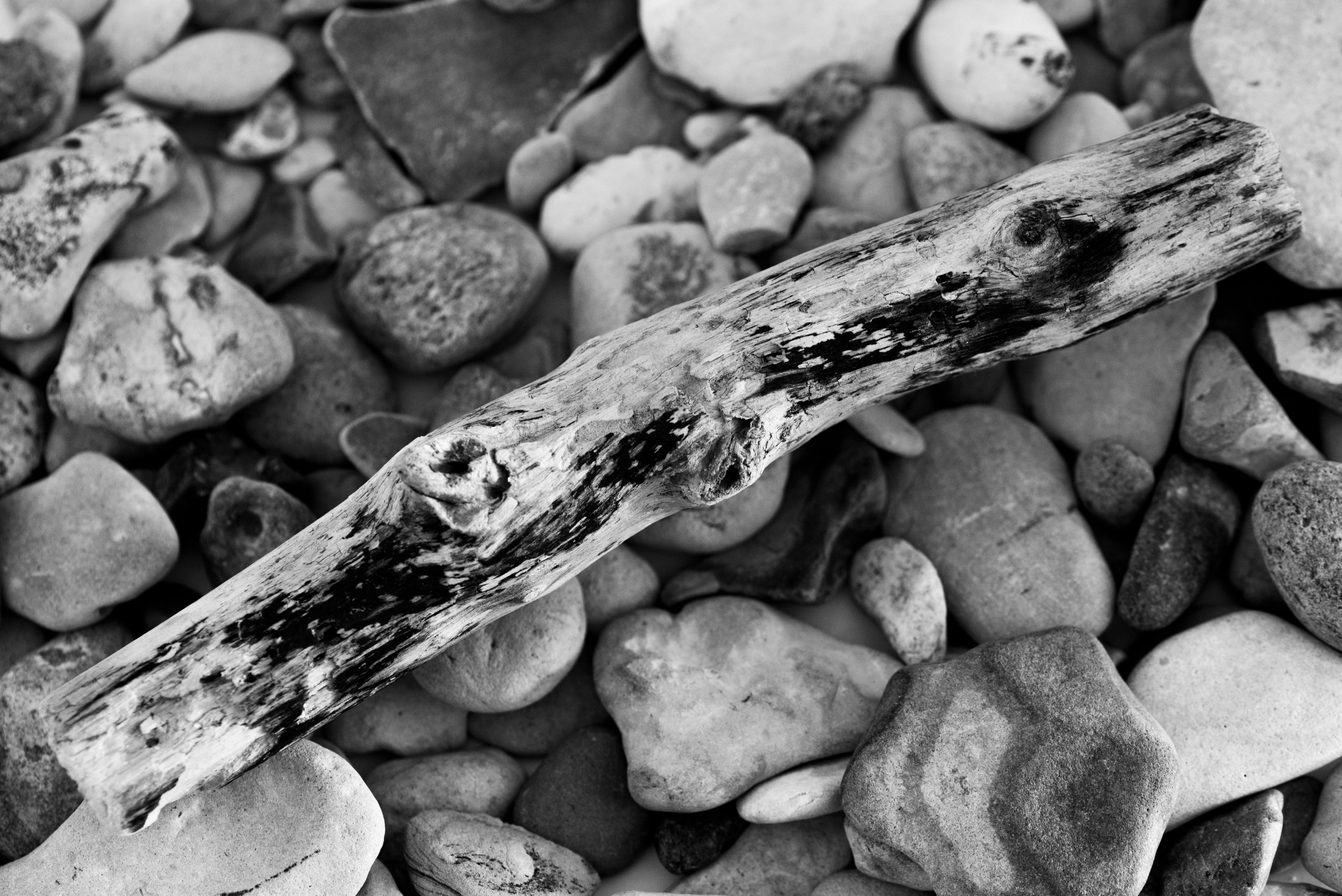 Free Unsplash photo from Gabriel Martinez