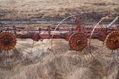 A rusty piece of agricultural machinery is seen resting on dry, brown grass. The machinery consists of several large circular metal parts with spokes, possibly used for tilling or raking fields. The equipment appears old and weathered, with a background of barren land.