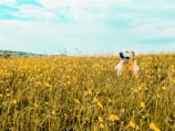 A happy Old English Sheepdog playing in a sunny yard.