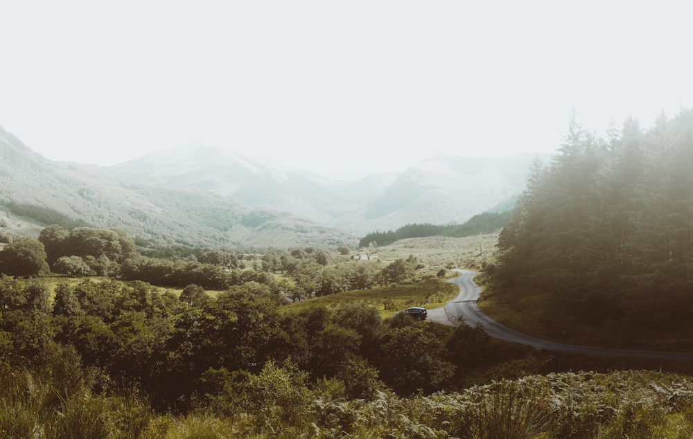 highway between forest