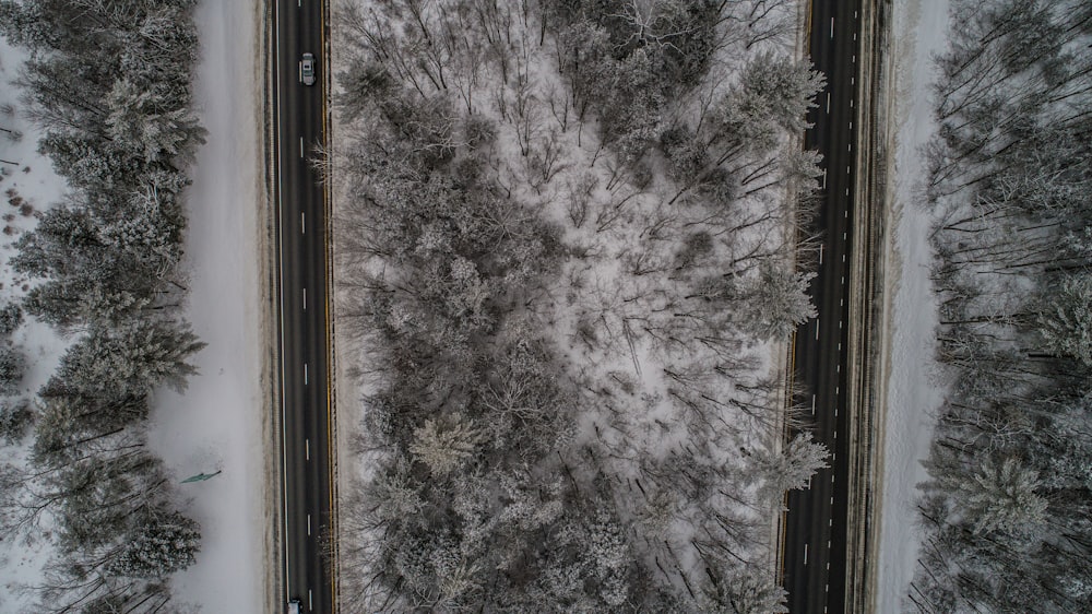 Photo aérienne d’arbres recouverts de neige