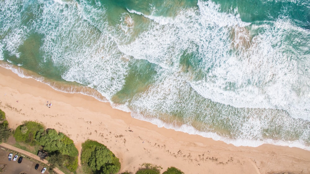 aerial photo of seashore