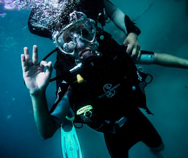 person wearing diving suit under water