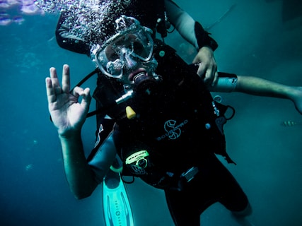 person wearing diving suit under water