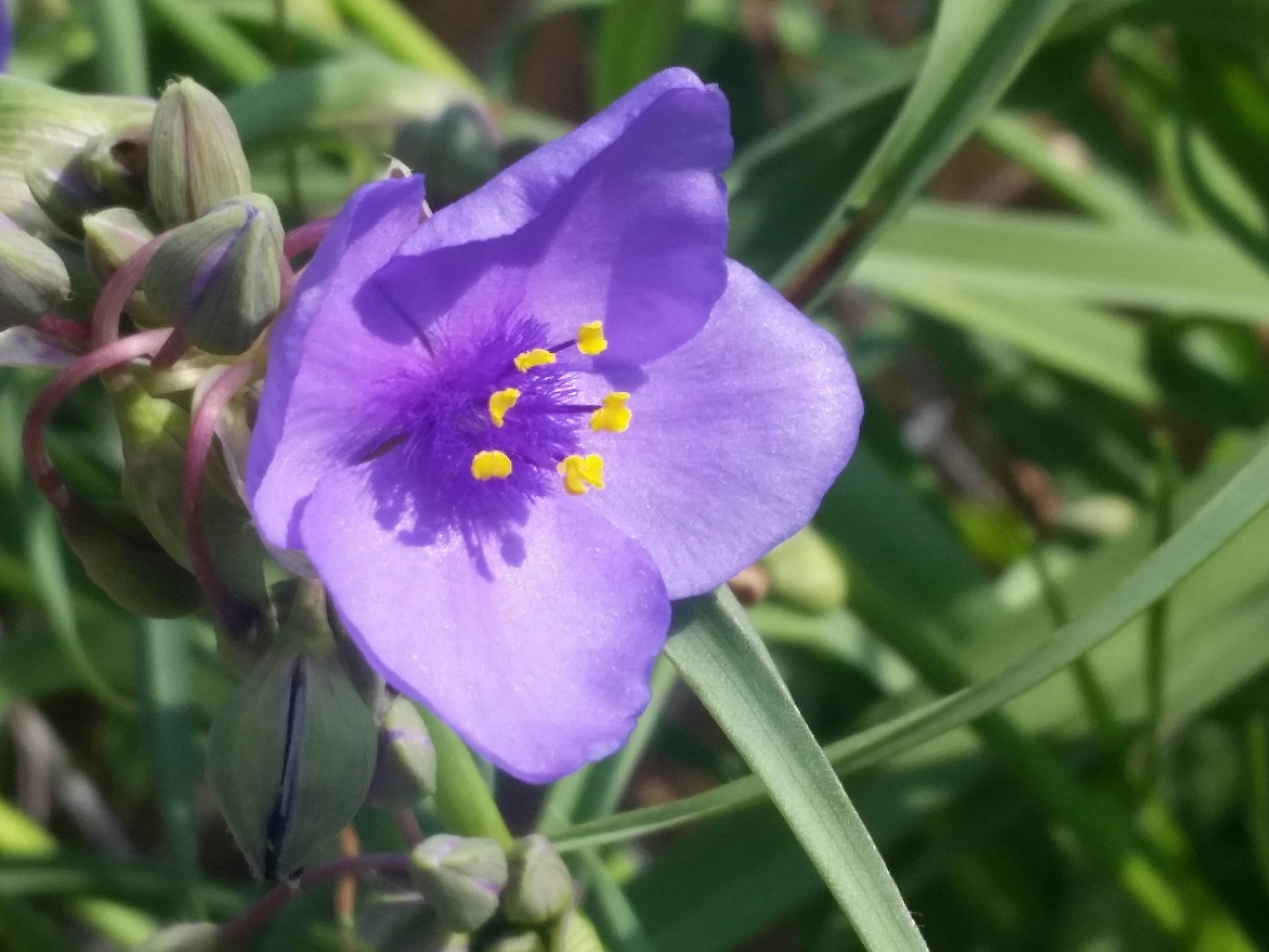 Free Unsplash photo from Sydney Wippman