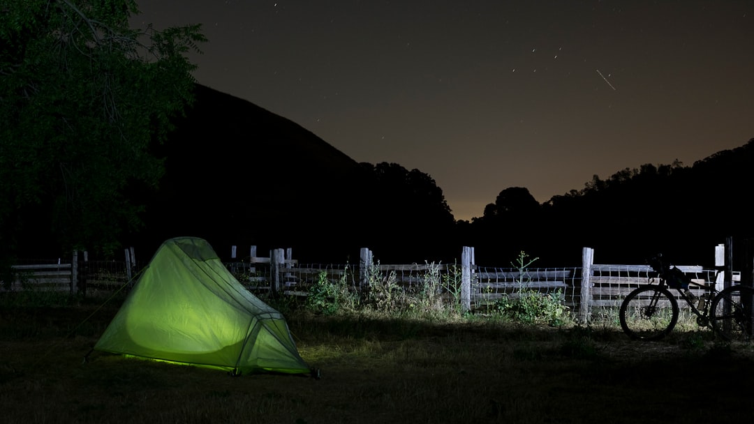 green outdoor tent on green grass