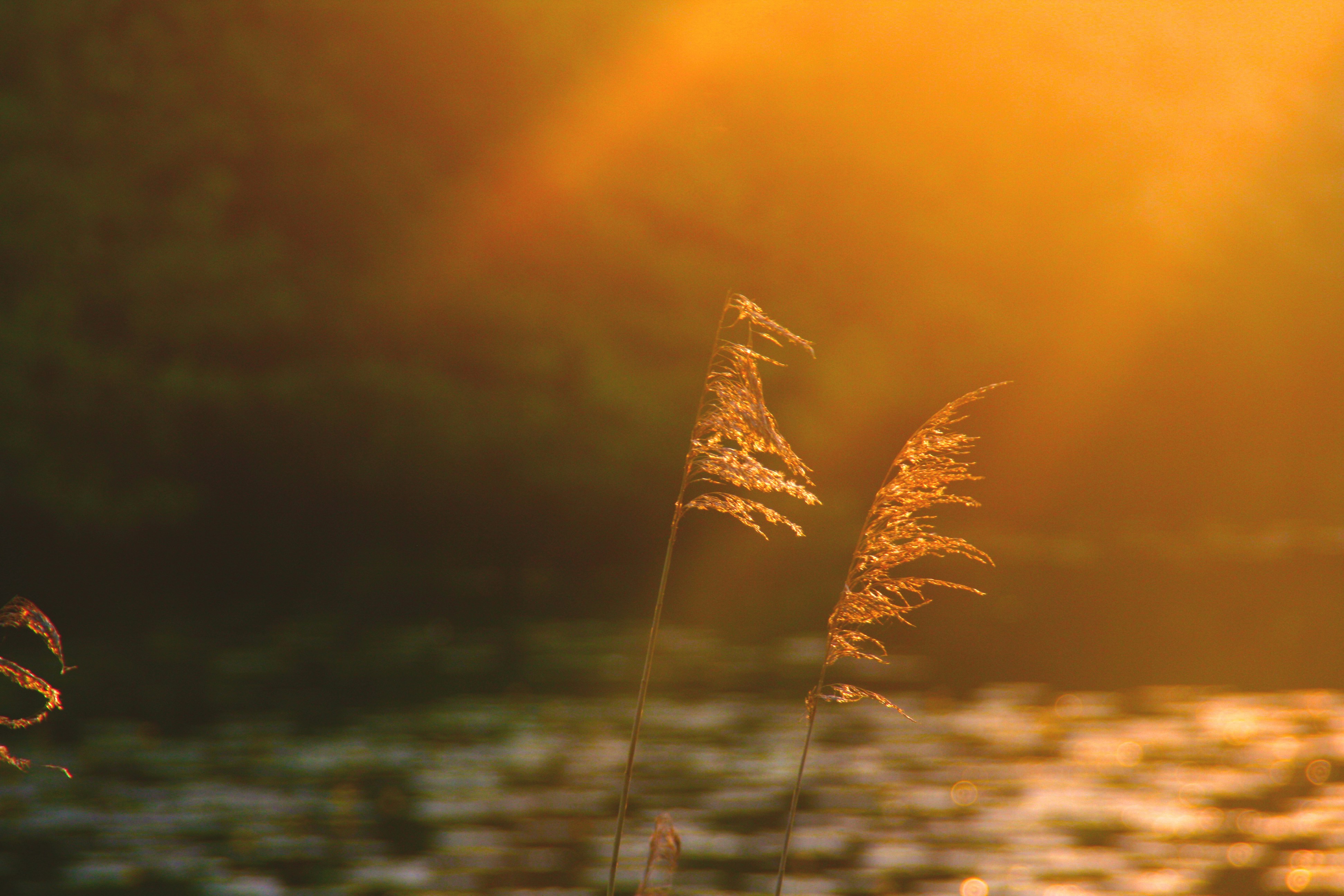 Free Unsplash photo from mark wielinga