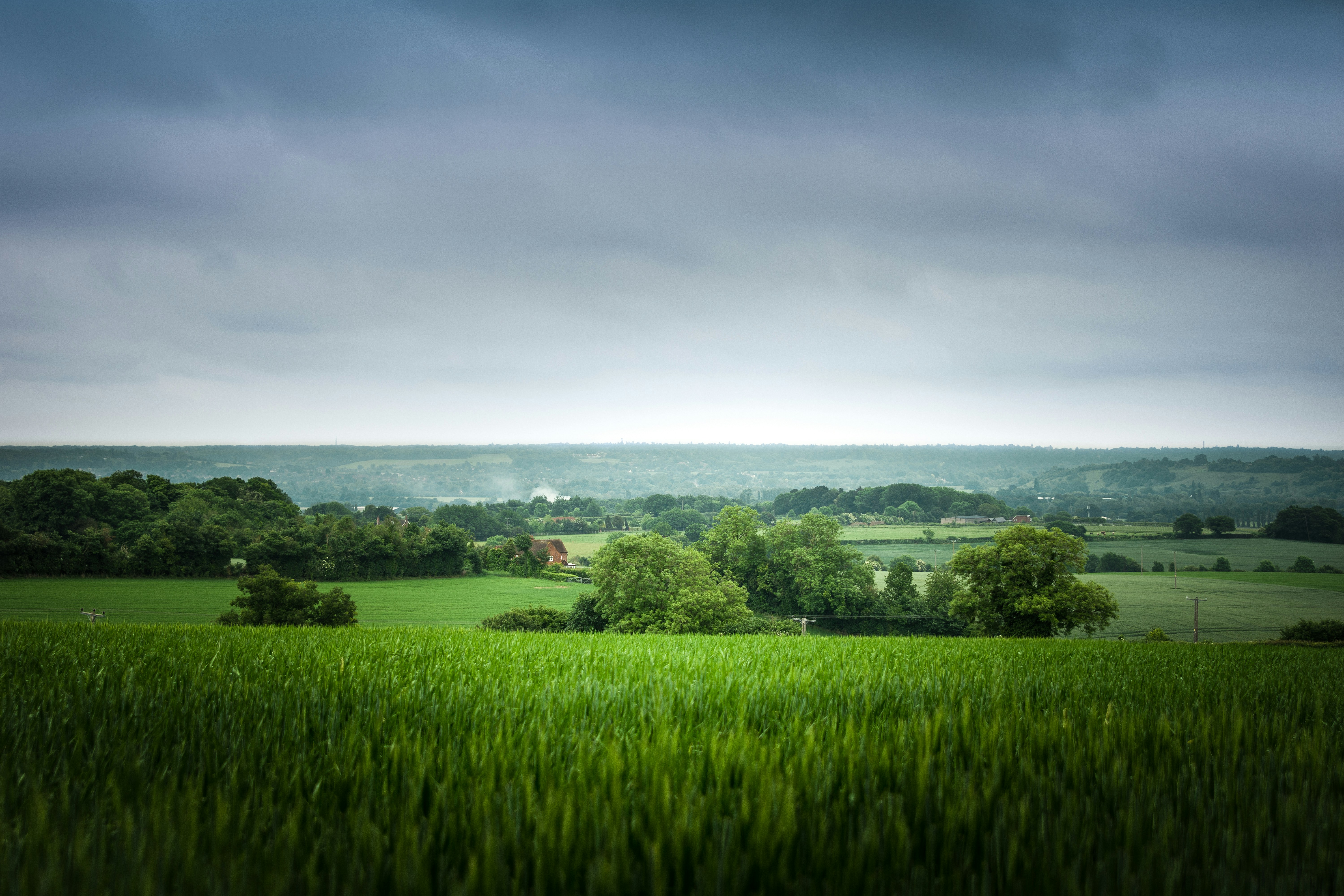 Free Unsplash photo from Elliot Banks