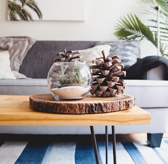 clear fishbowl beside pine cones on brown wooden table