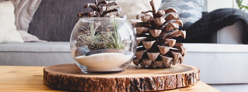clear fishbowl beside pine cones on brown wooden table