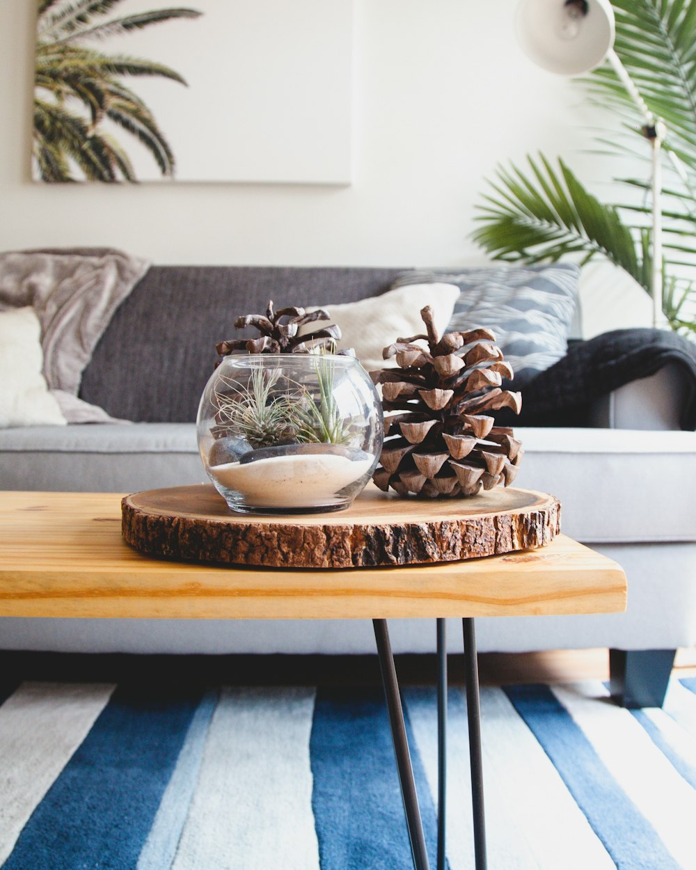 A couch with throw pillows and blankets and a table with an aquarium filled with pinecones on top of it