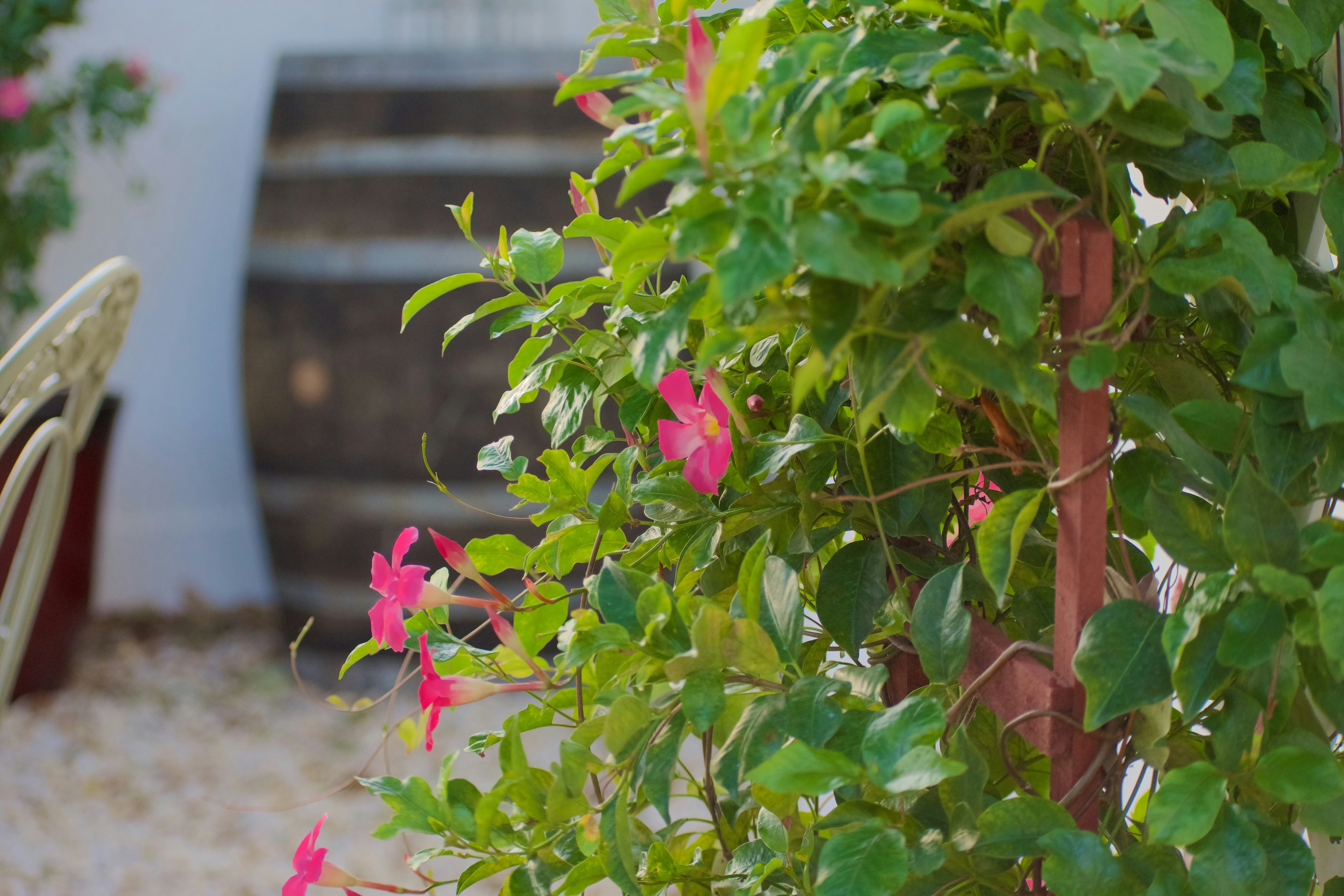 Free Unsplash photo from Caleb  Batman