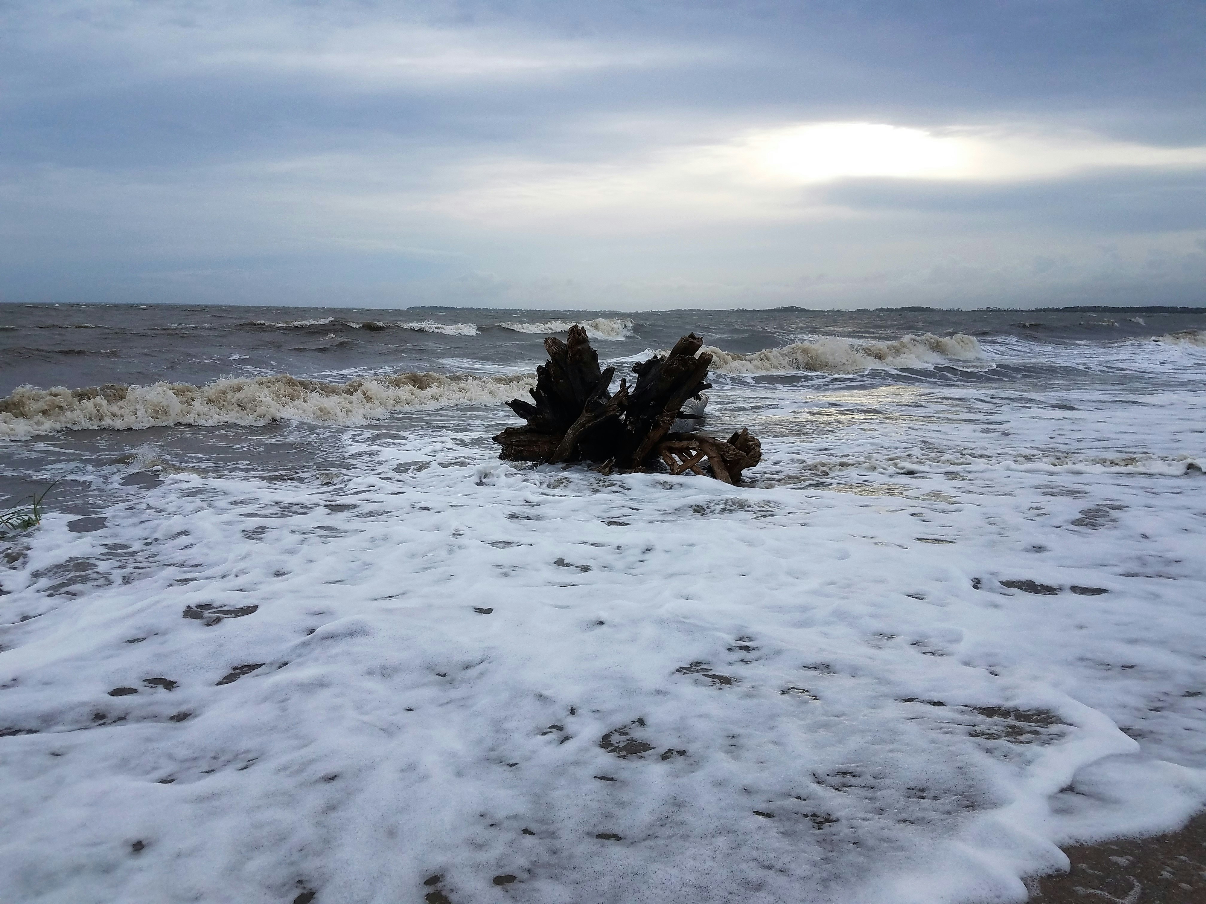 Free Unsplash photo from Glenn Haertlein