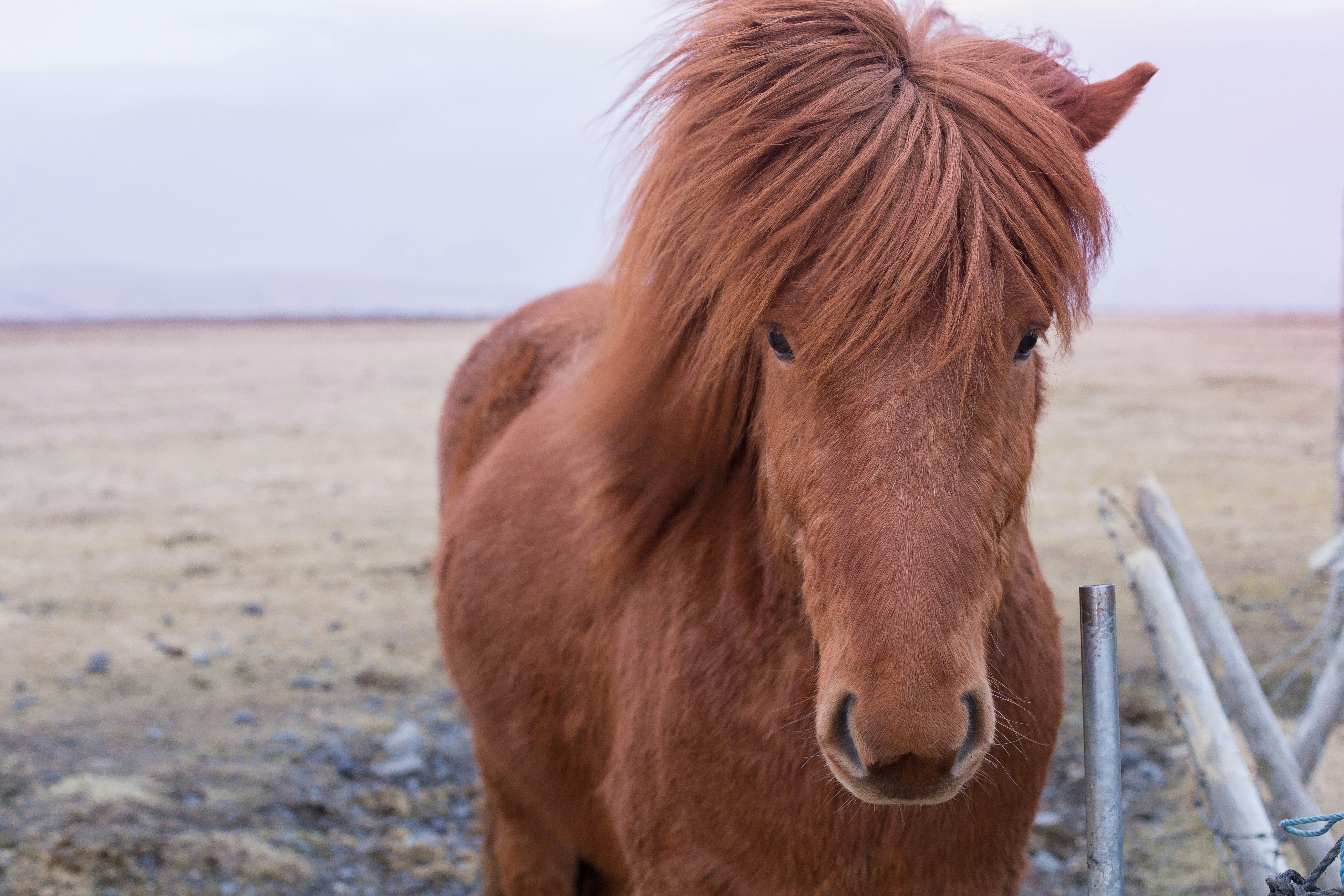 Free Unsplash photo from Melissa Regina