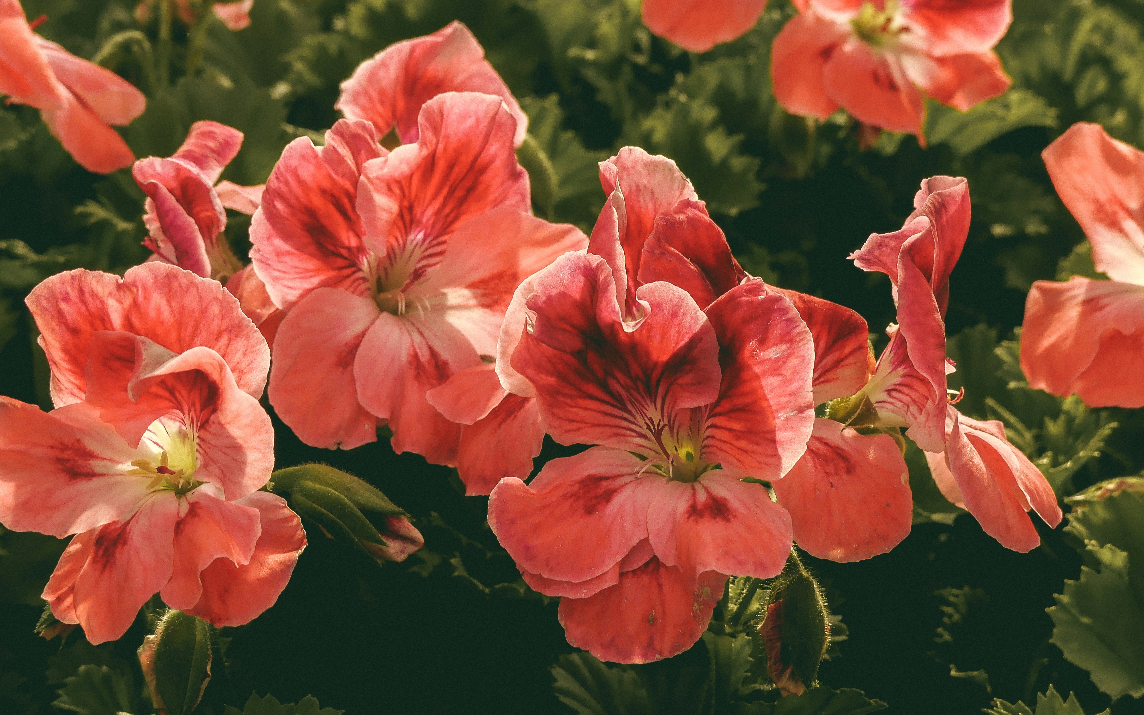 Free Unsplash photo from jk lasto