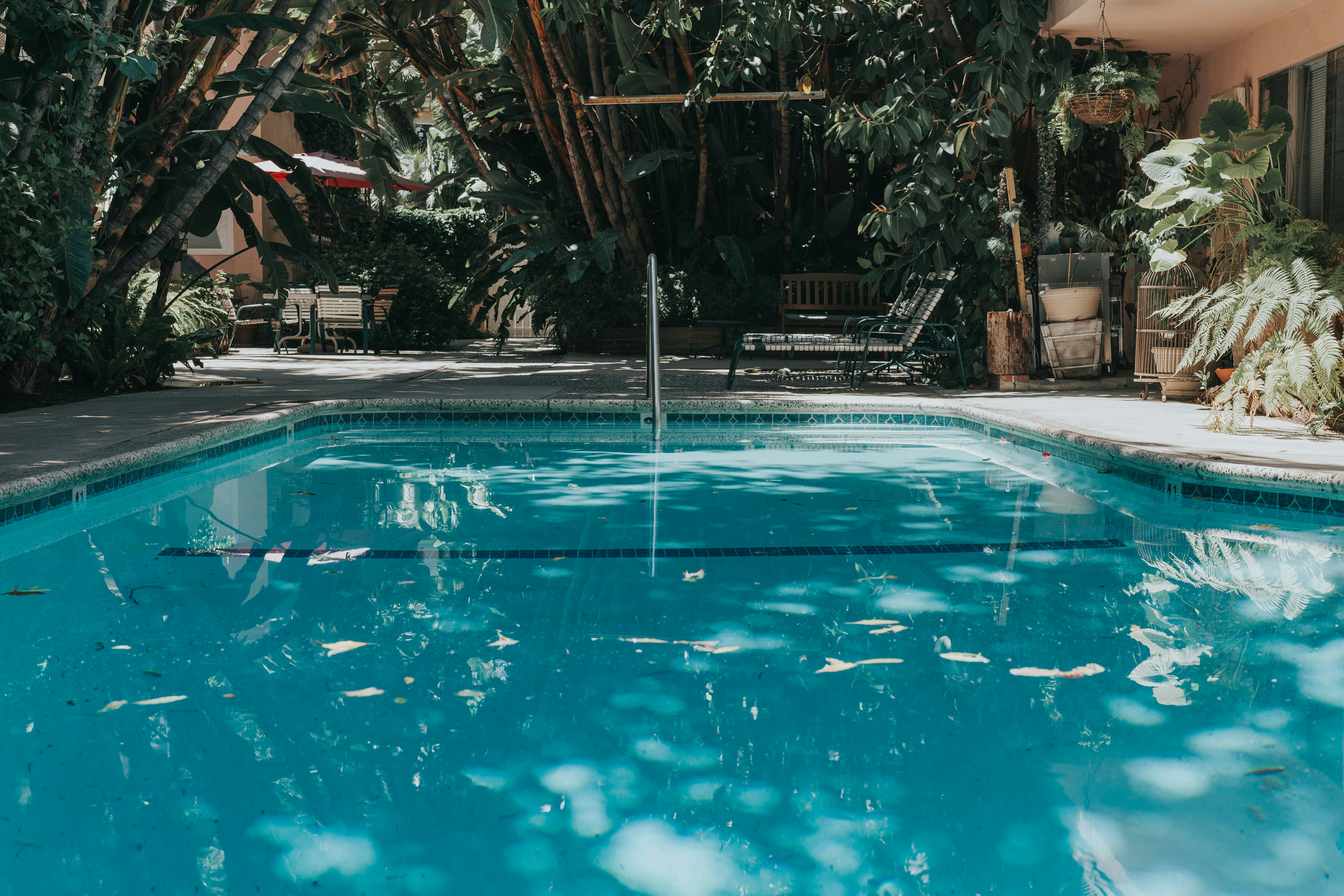 Free Unsplash photo from MARK ADRIANE