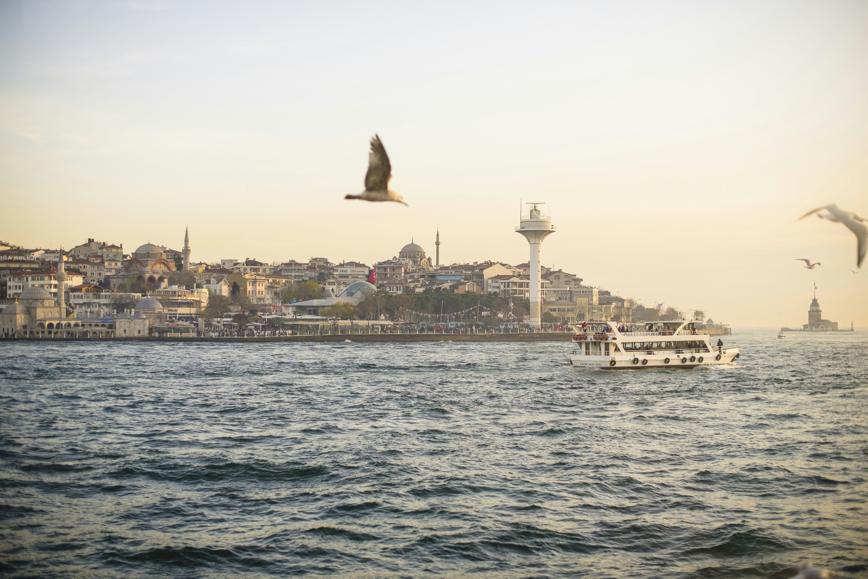 Free Unsplash photo from Claes Pettersson