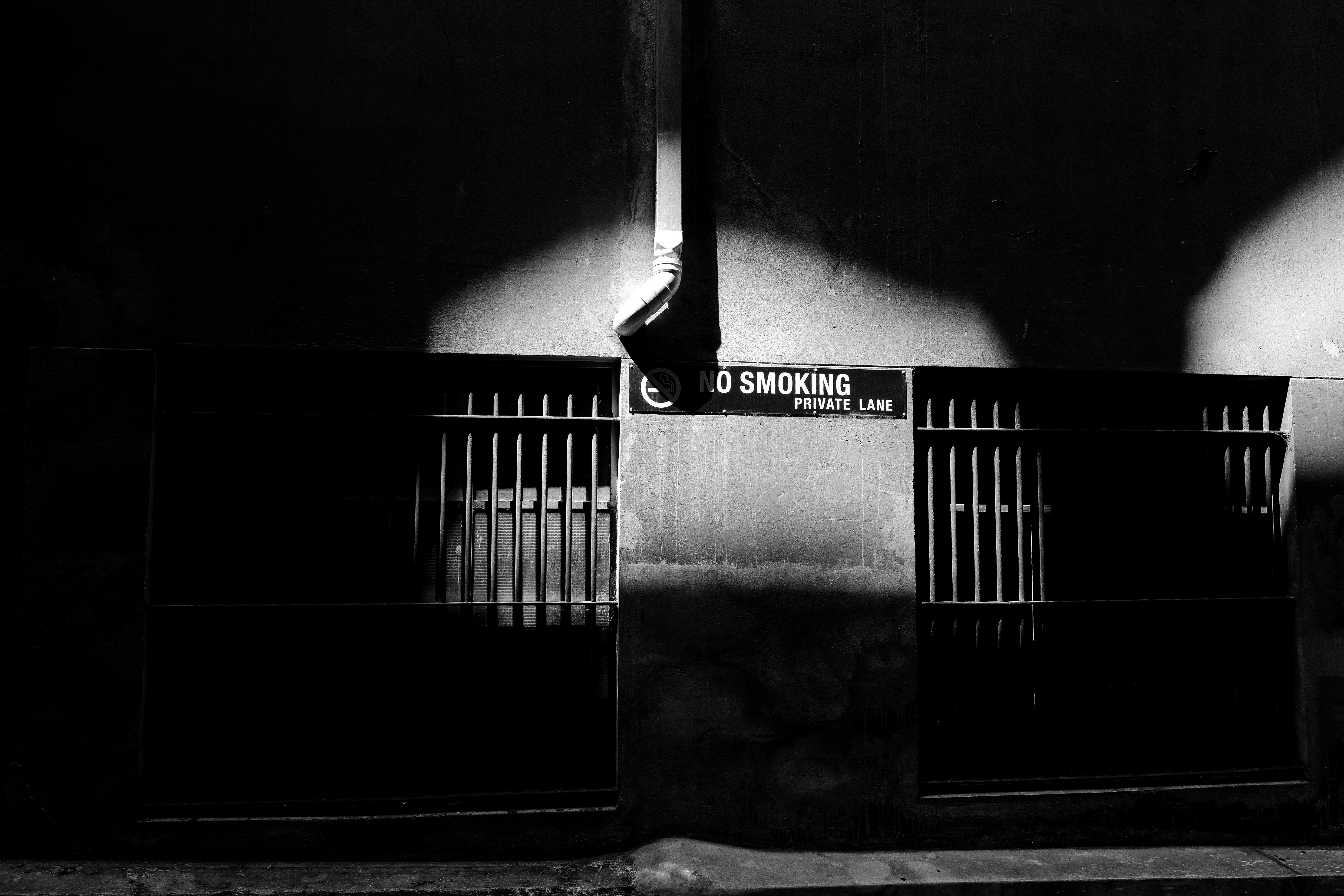 Free Unsplash photo from Bulkan Evcimen