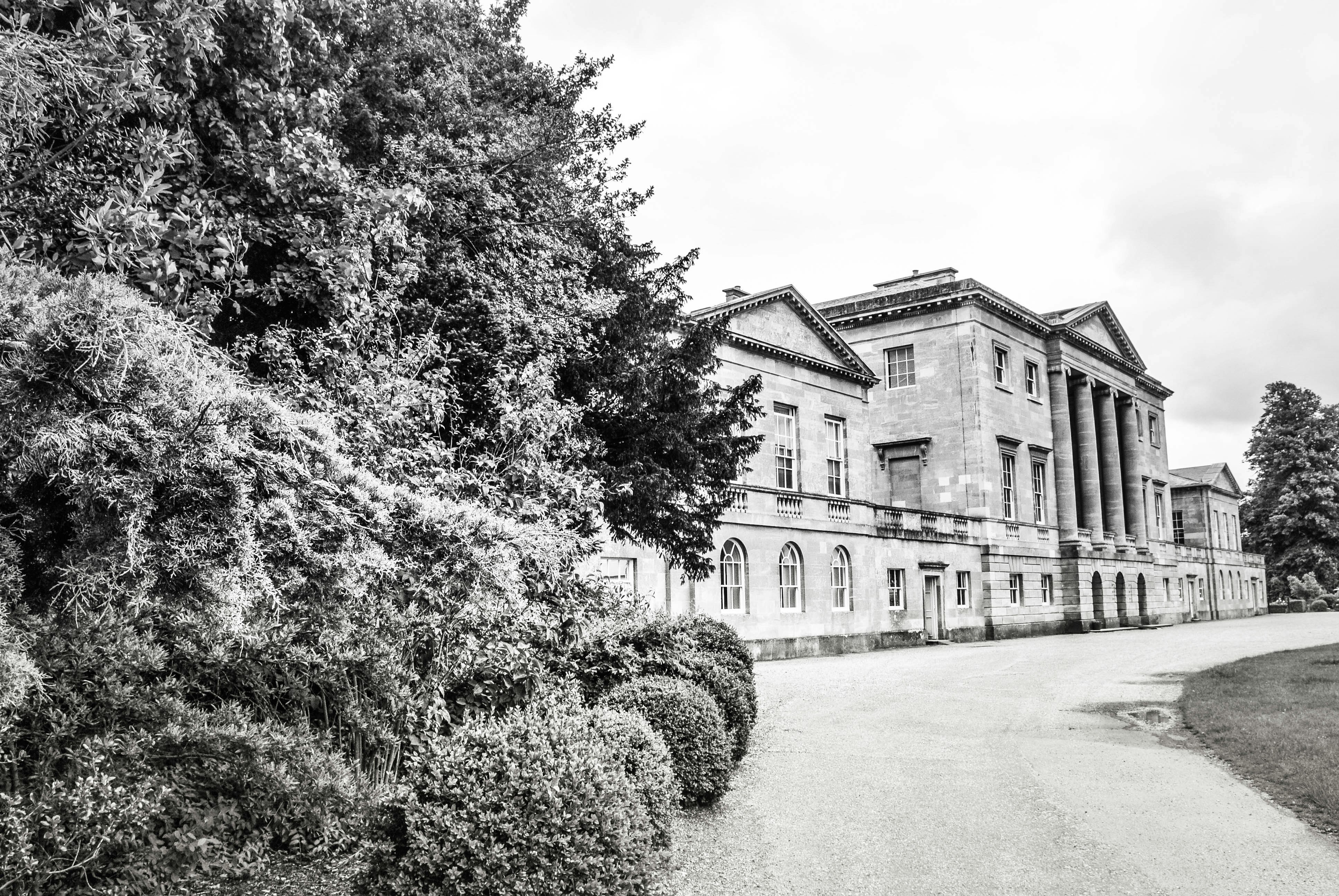 Free Unsplash photo from Rachel Gerred