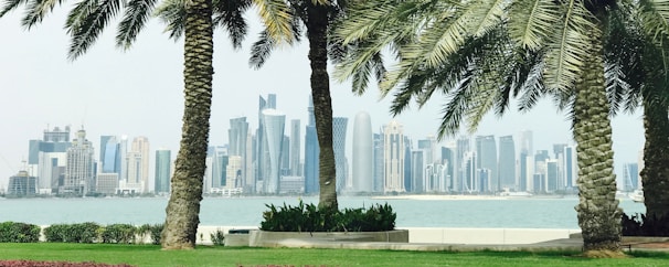 A scenic view of Dubai's skyline featuring modern skyscrapers and palm trees.