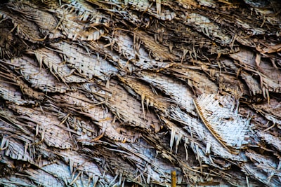 A close-up view of a textured surface made of intricately woven straw or palm leaves. The natural material is layered and interwoven, creating a complex pattern with varying thicknesses and shadows.