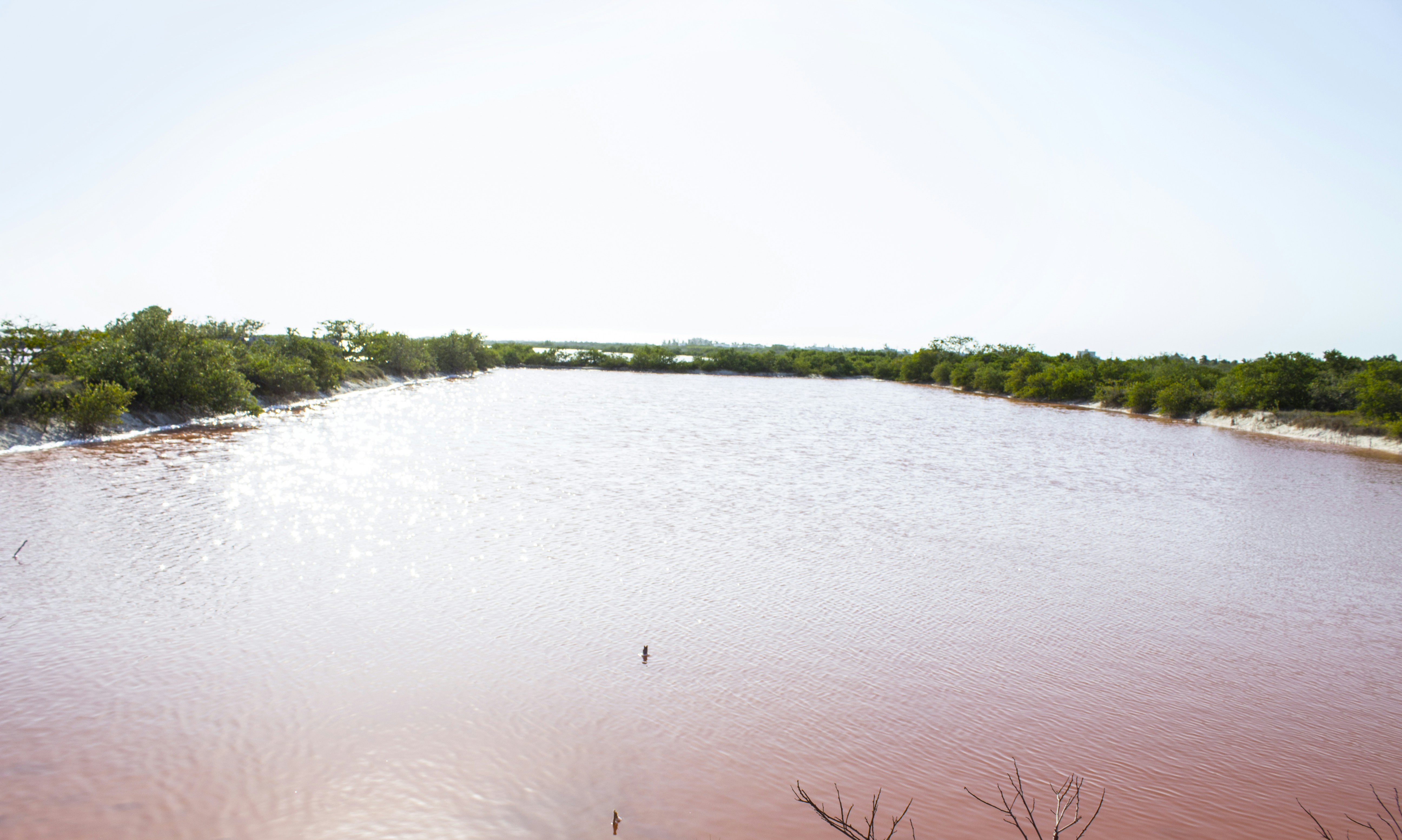 Free Unsplash photo from Haina Baas