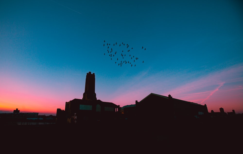 silhouette of building under blue sky during golden hour