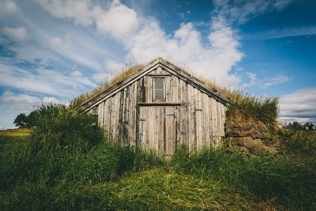  brown wooden house surrounded by plants during daytime shed