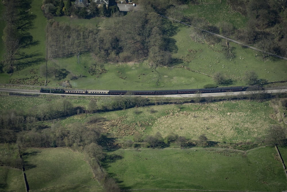 train traveling near forest