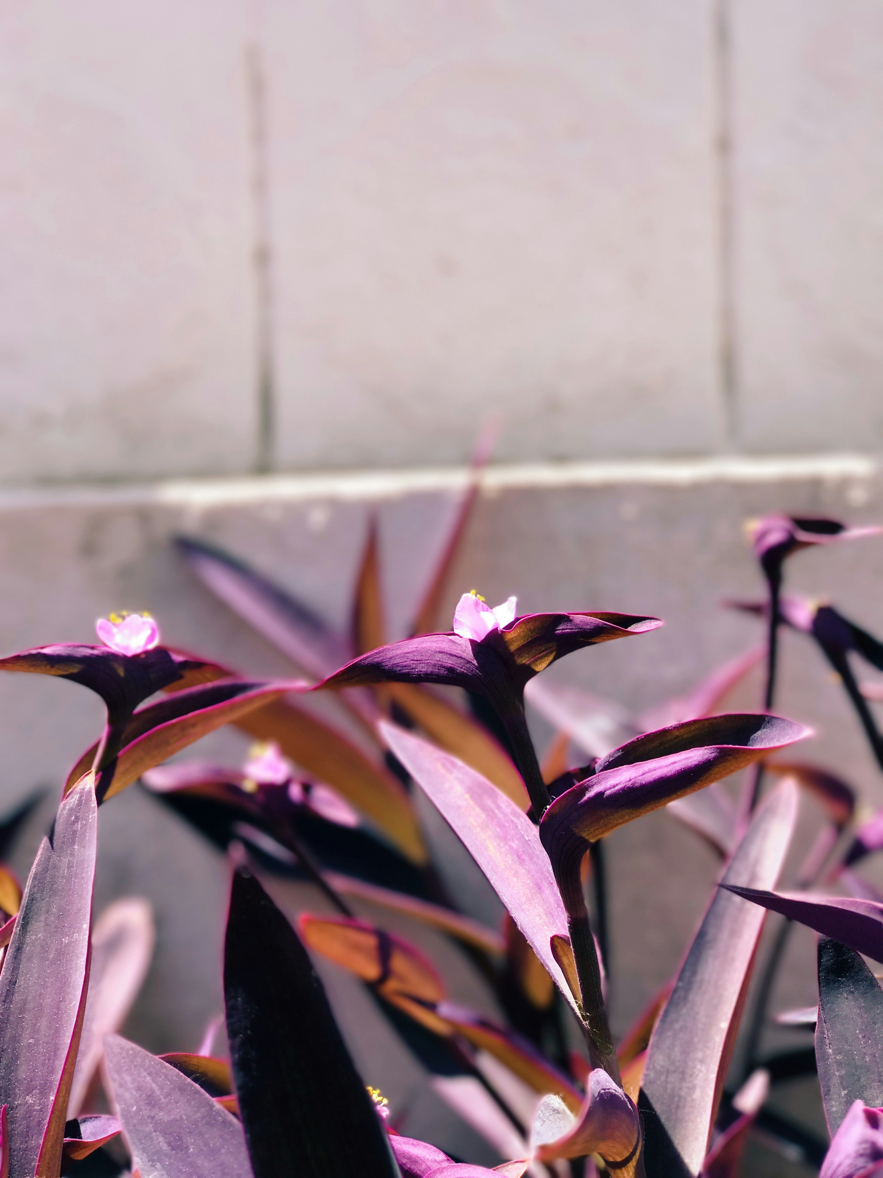 Free Unsplash photo from Caleb Stokes