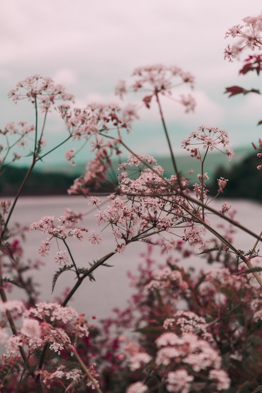 Ladybower Reservoir things to do in Sheffield