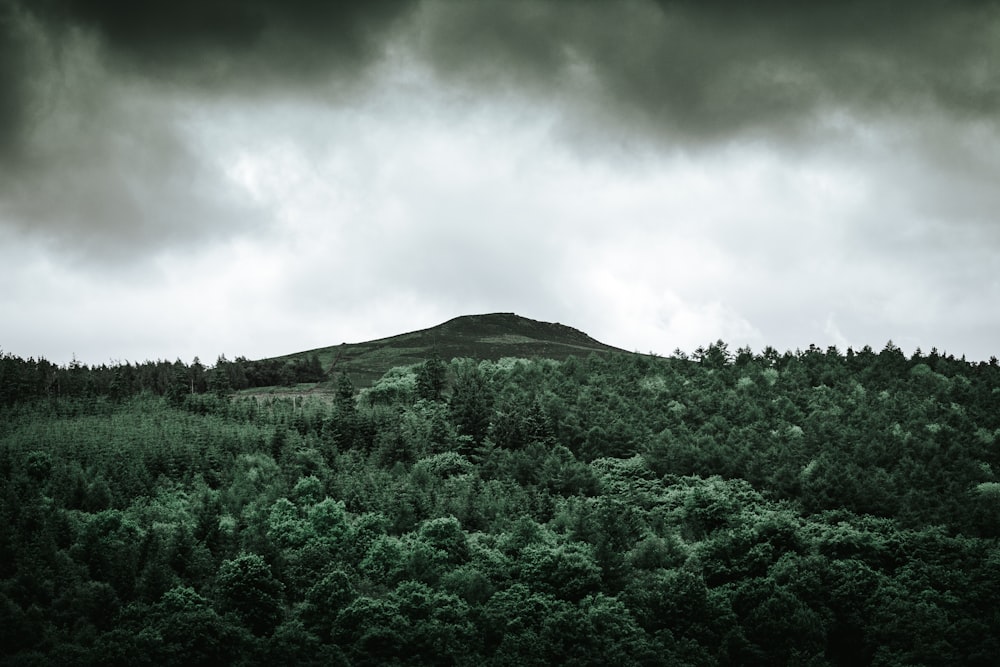 alberi vicino alla collina sotto nuvole grigie