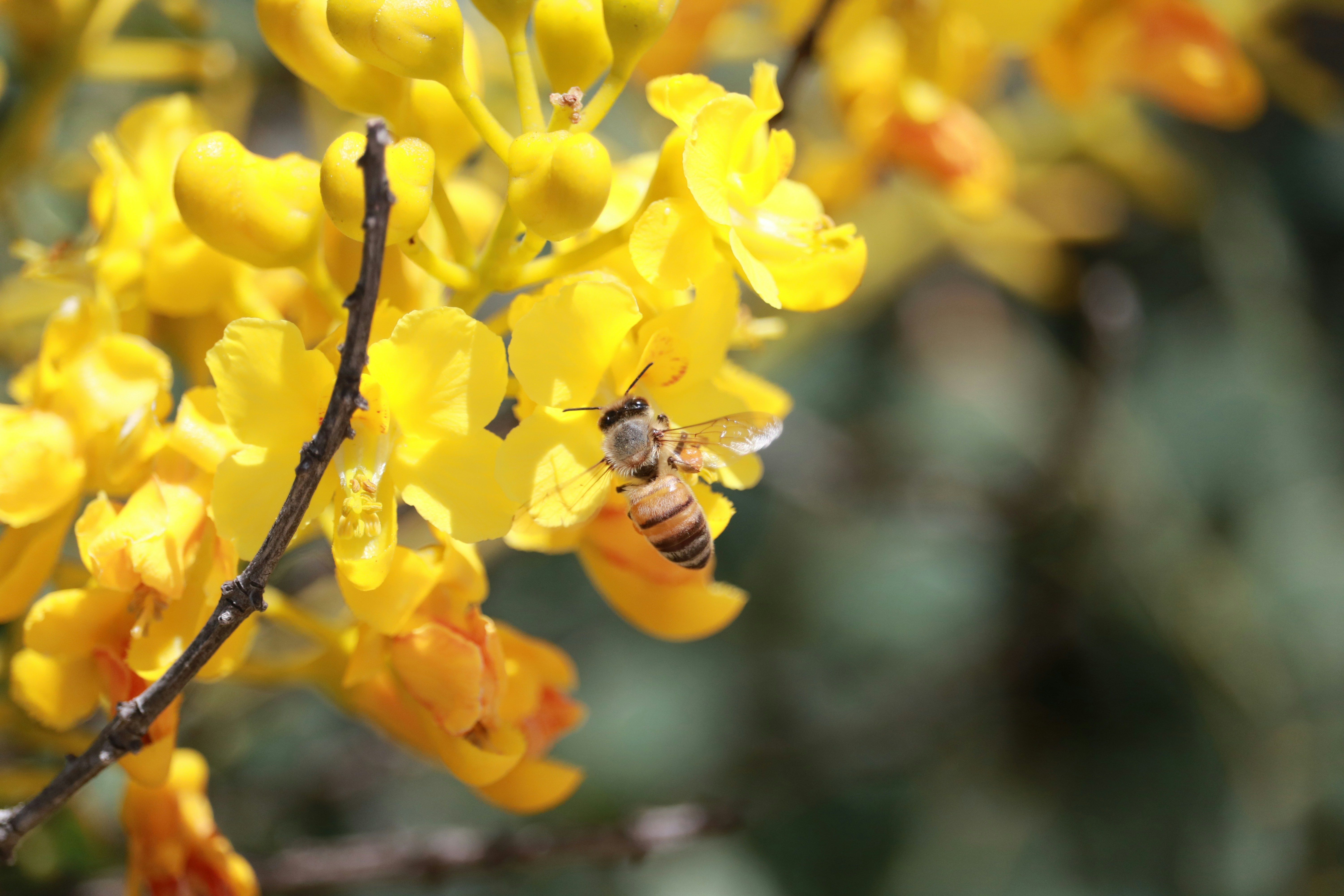 Free Unsplash photo from Austin Ellis